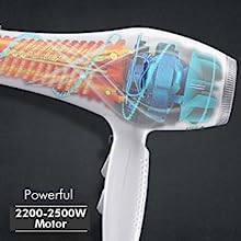 VEGA Professional Pro 08 Dry Hair Dryer - High Performance