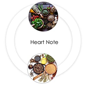 Ajmal Amber Magic Perfume - 100ml EDP for Men Woody