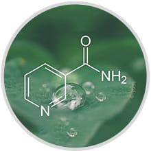 Neem And Tea Tree Face Wash With 5% Niacinamide – Anti-Acne