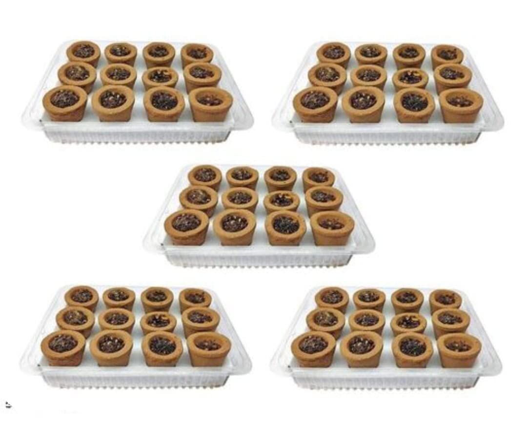 AIRANCE Sandalwood Sambrani Dhoop Cup 60 Pcs SMALL