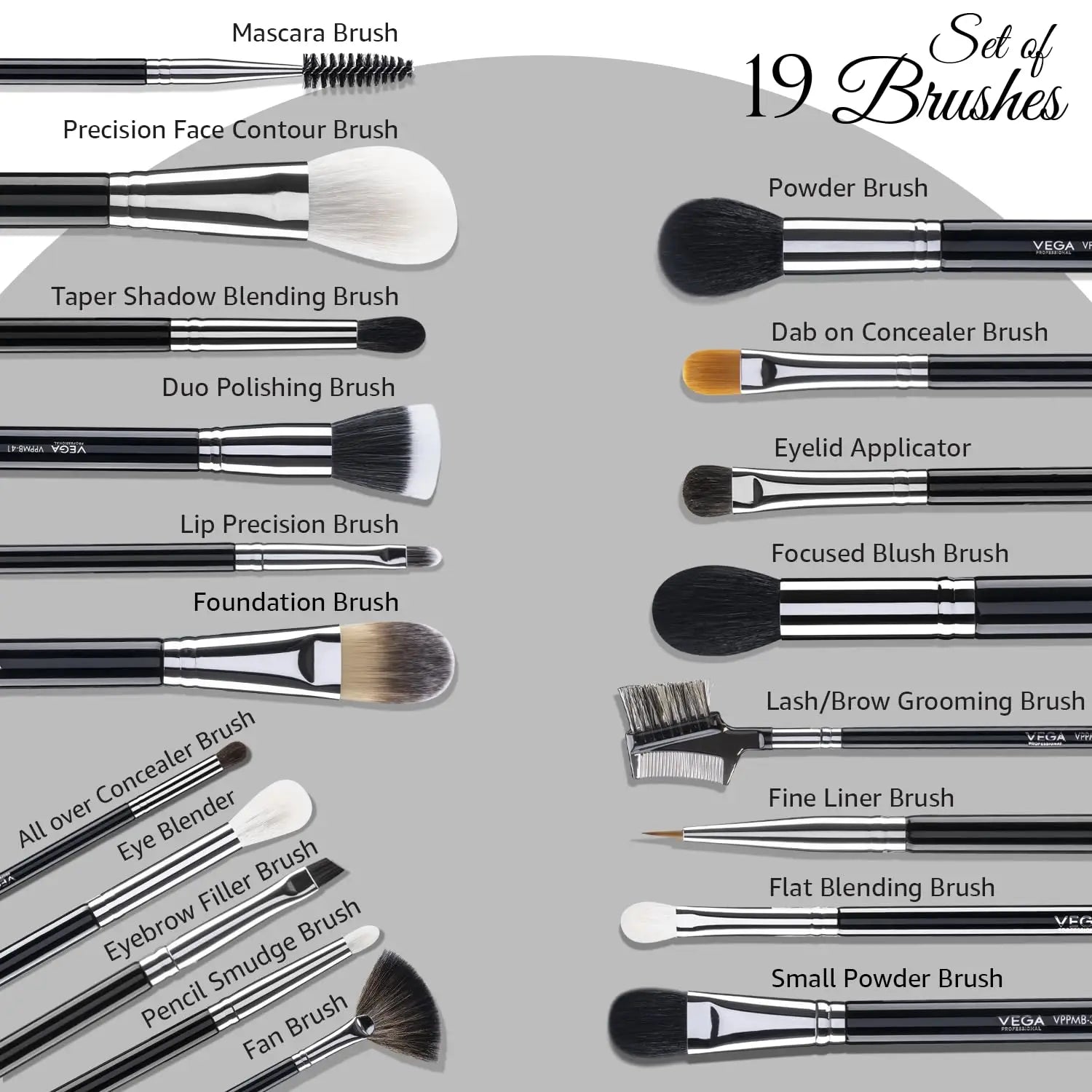 Vega 19-Piece Professional Makeup Brush Set (VPPMB-44)