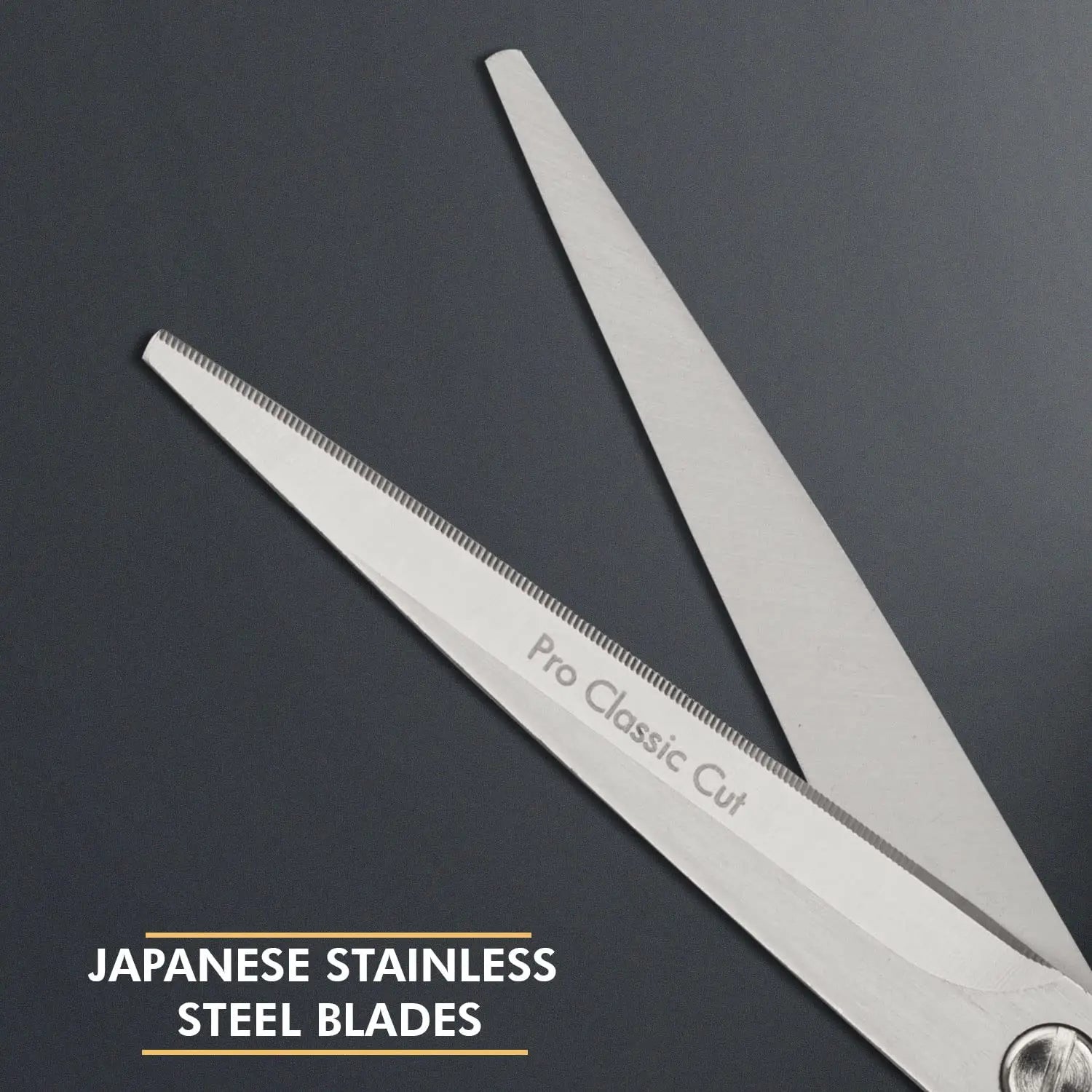 Vega Professional Pro Classic Cut 5.5 Hairdressing Scissor