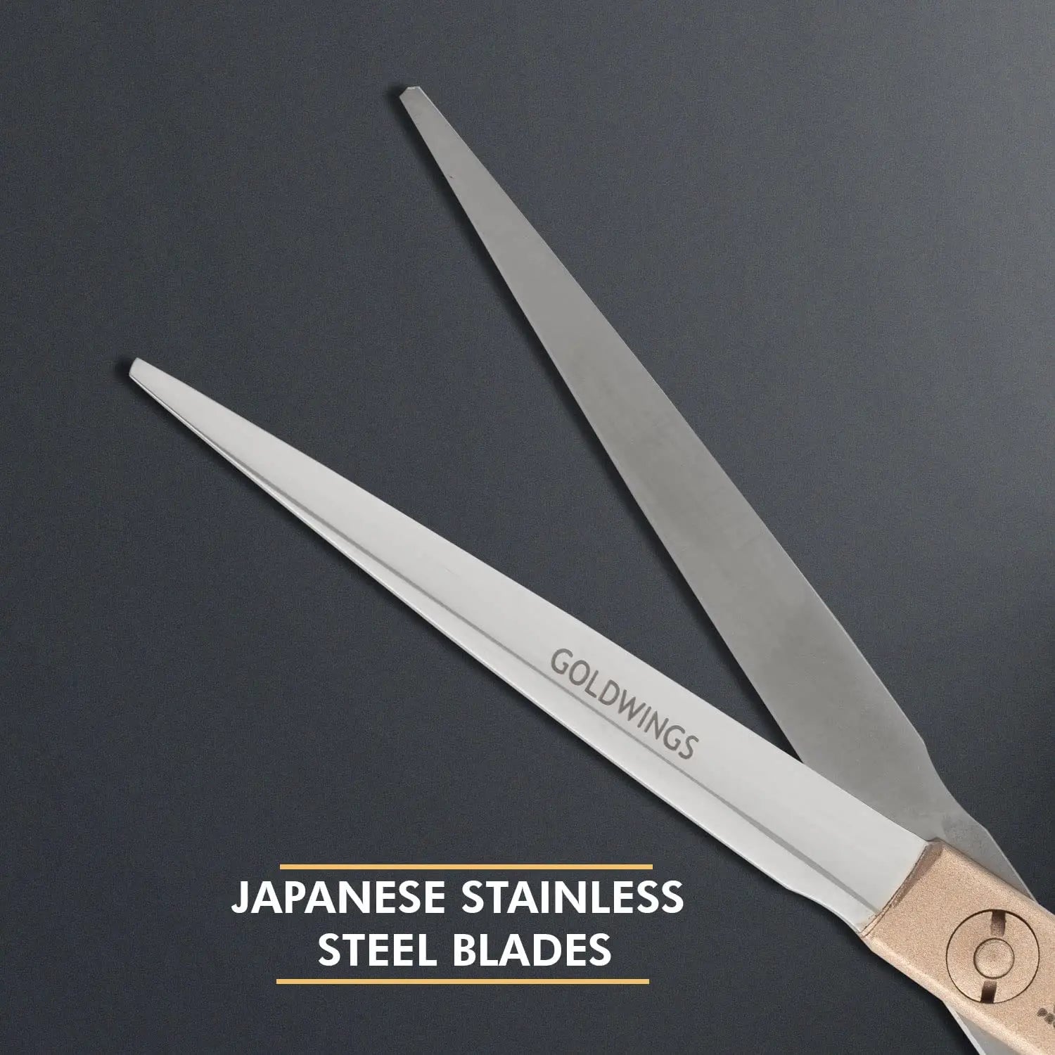Vega Professional Goldwings 5.5’ Japanese Stainless Steel