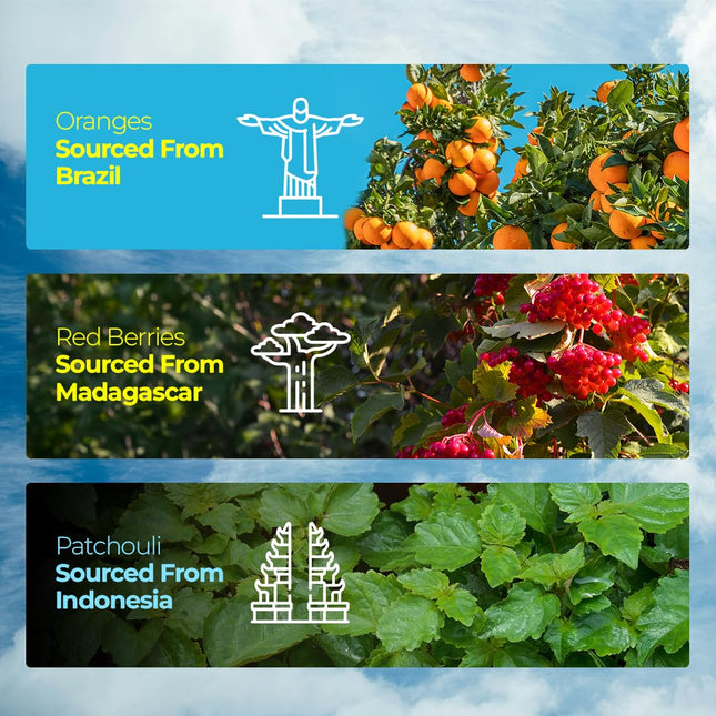 Elegant packaging of Fastrack Perfume Celeb, a long lasting perfume for women designed for all occasions, showcasing its sophisticated floral scent.