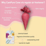 CAMPURE CamPure Cone Rose - Camphor Cone