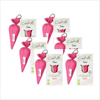PACK OF 6 / Rose