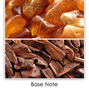 Ajmal Mizyaan Concentrated Perfume 14ml - Vibrant Fragrance