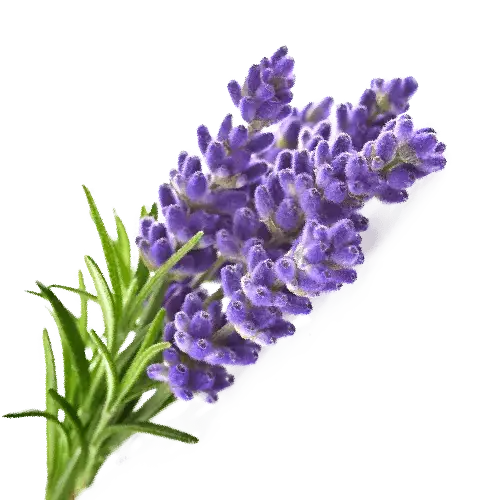 Ajmal Zeal perfume 100 ml