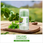 Organic Harvest Brightening Stick Mask: Matcha - FACE MASK