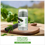 Organic Harvest Detoxifying Stick Mask: Charcoal - FACE MASK