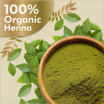 Ozone Henna (Mehndi) Powder - MEHNDI COLOUR