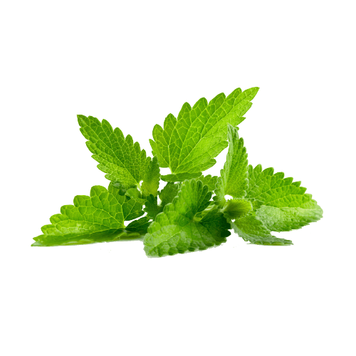 Ajmal Zeal perfume 100 ml