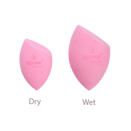 Recode Beauty Sponge - image 3