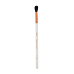 Recode RS 101 Diffuse Crease/Transition Brush