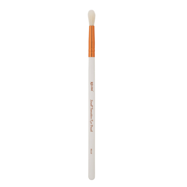 Recode RS 110 Small Transition Eye Brush