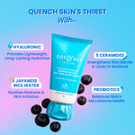 Dot & Key Blueberry Hydrate Barrier Repair Oil-Free Moisturizer - 50g – key ingredients