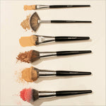 SWISS BEAUTY PROFESSIONAL SERIES MAKEUP BRUSH 20 PCS KIT