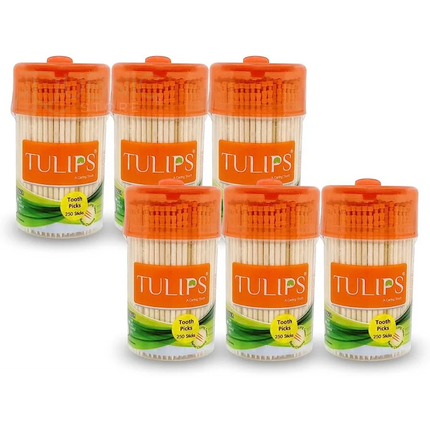 Tulips Wooden Toothpicks 250 Sticks PACK OF 6 - TOOTHPICK