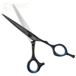 Vega Professional Black Titan 6 Black line Hairdressing