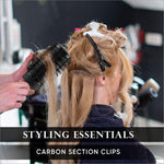 Vega Professional Carbon Section Clips