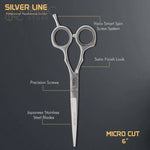 Vega Professional Micro Cut 6 Silver line Hairdressing
