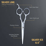 Vega Professional Silver Ice 6.0 Silver line Hairdressing