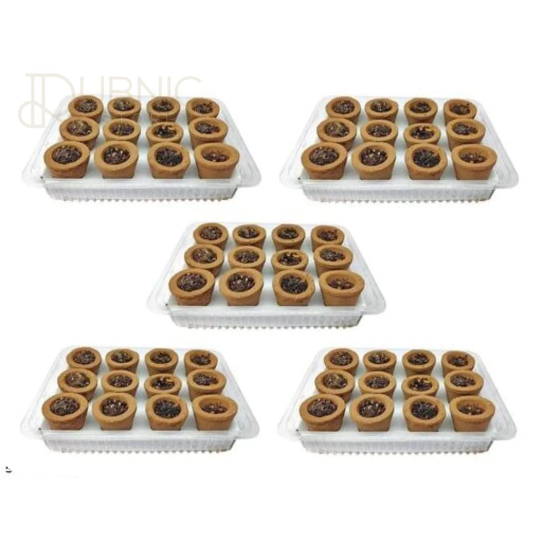 AIRANCE Sandalwood Sambrani Dhoop Cup 60 Pcs SMALL - dhup
